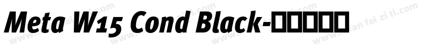 Meta W15 Cond Black字体转换